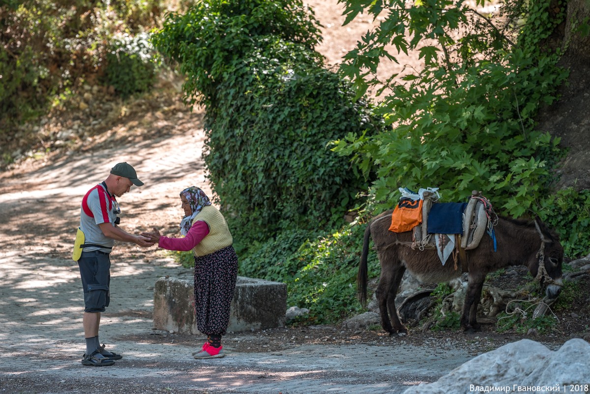 5 diena – Alyvmedžių sodai ir Kalabantia įlanka