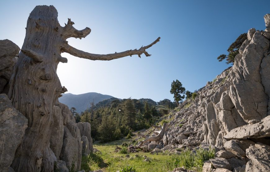 Lengvas žygis Likijos taku su automobiliu palyda Turkijoje