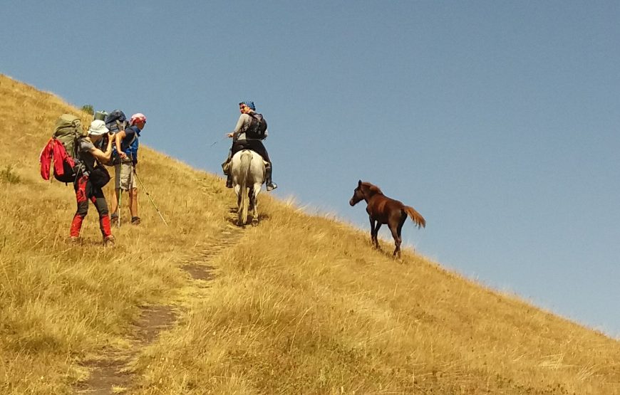 Turas žirgais Tušetijoje, Sakartvele