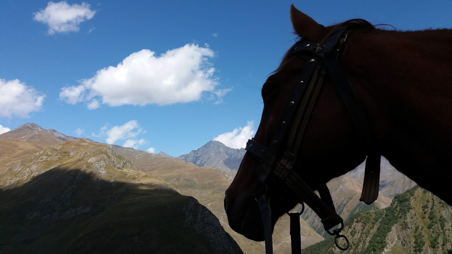 1 diena – Atvykimas į Tbilisį, džipų kelionė į Tušetiją