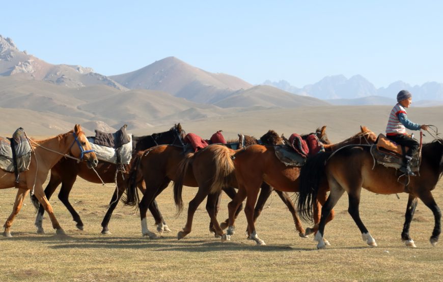 Dviejų pėrejų žygis žirgais Kirgizijoje, Ten Šanio kalnuose