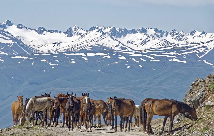 Dviejų pėrejų žygis žirgais Kirgizijoje, Ten Šanio kalnuose