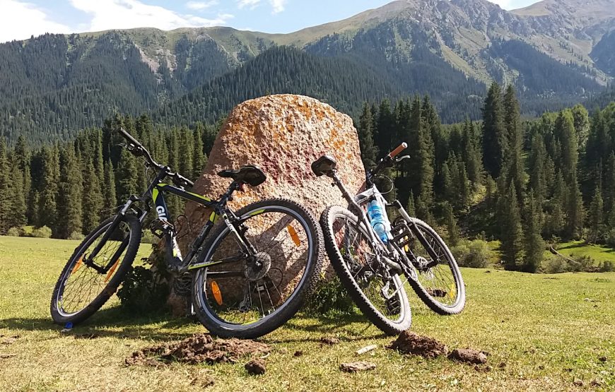 MTB dviračių turas Kirgizijoje, Tian Šanio kalnuose